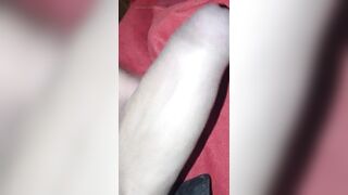I want anal sex and lots of milk in my tail - 12 image