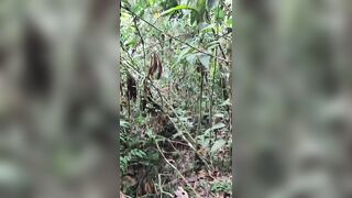 young handsome ranger masturbates and cums in the jungle, while he stays behind his companions - 2 image