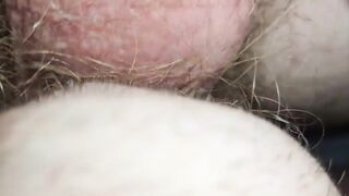 My Friend Seen My Dick Hard While Eating Ass And Starting Sucking - 5 image