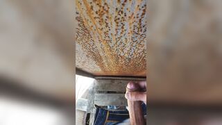 Abandoned place for fun and relaxation - 12 image