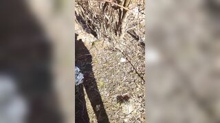 Abandoned place for fun and relaxation - 3 image