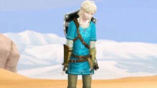 Legend Of Zelda 2 - Link Gets Lost In The Desert - 3 image