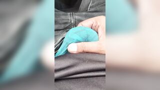 Superb Bulge outdoor - 4 image