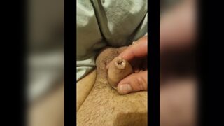Tiny Dick Compilation - 9minutes of my Tiny Wet Uncut Cock - 1 image