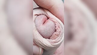 Edging, milking, foreskin play and loads of cum - 1 image
