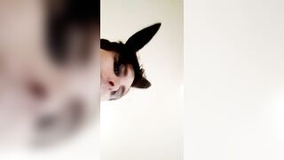 Im gonna take a huge cock up my ass - 2 image