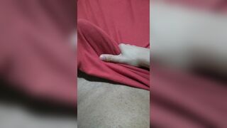 Young soft dick under the blanket showing off and playing until his big thick dick gets hard - 14 image