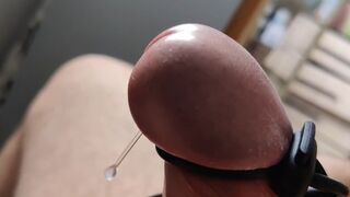 With Electric Shocks All Day Long, Daddy Cums Several Times a Day. - 1 image