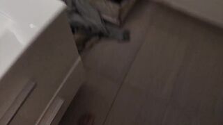 I Masturbate in a Public Bathroom - 13 image