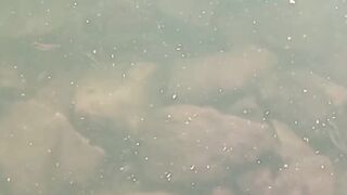 Guy jerking off in nature and fishing - 2 image