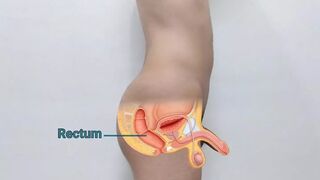 Nude real man anatomy anatomy _ two videos of human penis anatomy and testicular self examination (Danieltp2002)