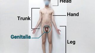 Nude real man anatomy anatomy _ two videos of human penis anatomy and testicular self examination (Danieltp2002) - 4 image
