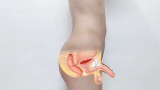 Nude real man anatomy anatomy _ two videos of human penis anatomy and testicular self examination (Danieltp2002) - 9 image