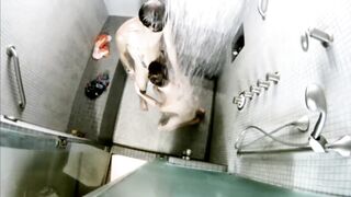 Shameless Boys Go Crazy - Part #2 - 100% Bareback - 12 image