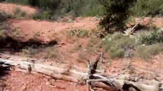 Ready to be dirty - Part #2 - 100% Bareback - 2 image