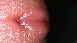 an excited penis and a beautiful ass very close up - 1 image