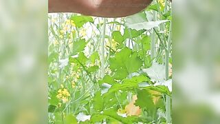 Bhabhi Land Ke Deewane