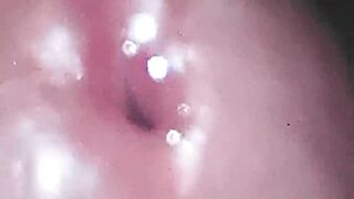 I got lost in the Amazon jungle