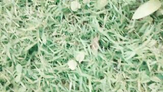 I'm lost in the woods waiting for a handsome guy with a big dick - 3 image