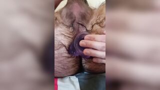 Hairy solo anal training with purple dildo