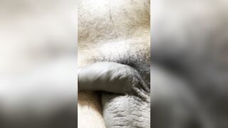 Big dick posting playing resting