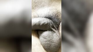 Big dick posting playing resting