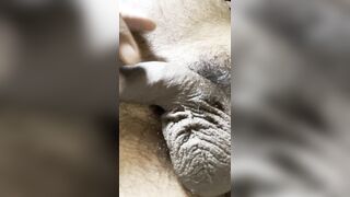 Big dick posting playing resting