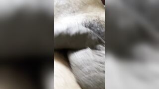 Big dick posting playing resting