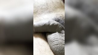 Big dick posting playing resting