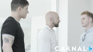 Staghomme - Sexy Mafia Bastian Karim deepthroats horny beefy DILF - 4 image