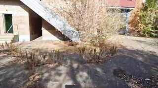 Watch this hot cosplay babe get dicked down by daddy's camp without a saddle - 7 image