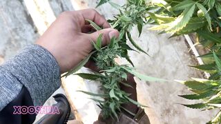 Innocent twink strips down to reveal her naked body