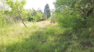 Curious twink finally gets to know the size of his manhood in the forest - 1 image