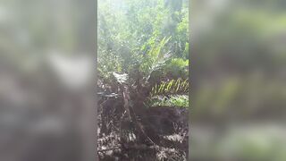Watch this Twink Surfer get pounded hard in the bushes & fed warm milk