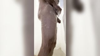 Watch Twink shaves cock and ass while in in the shower - 14 image